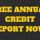 Illustration for article titled Free Credit Report Gov vs Free Credit Score